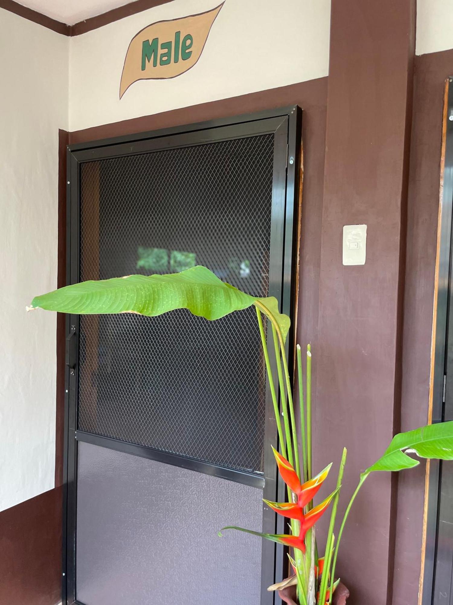 Chelle'S Guesthouse And Backpackers ซีคีฮอร์ ภายนอก รูปภาพ